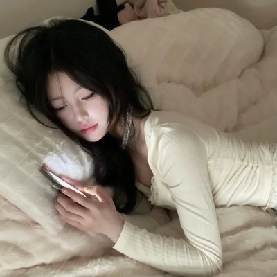 完美的独裁国家