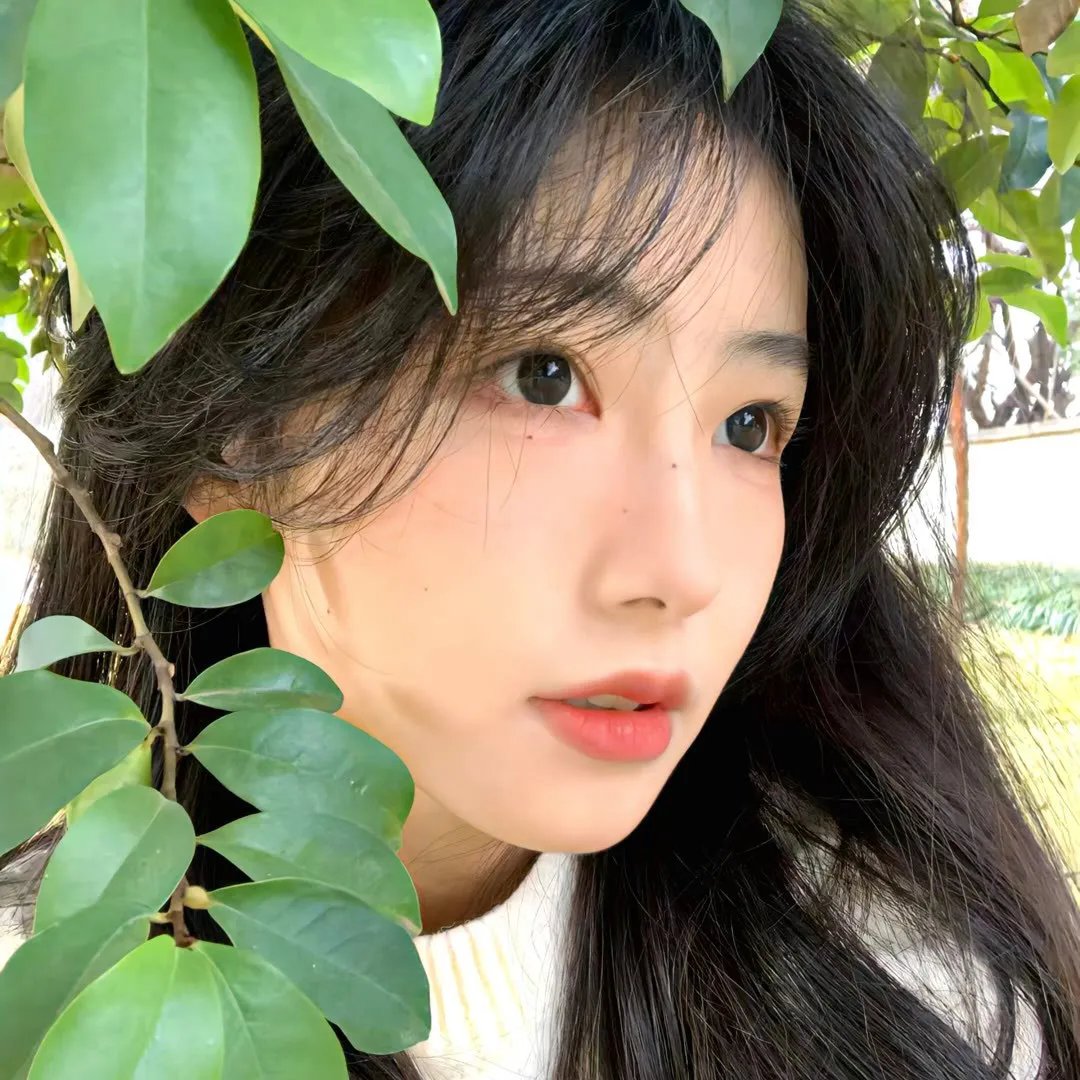 阳光普照